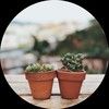 growthrifty